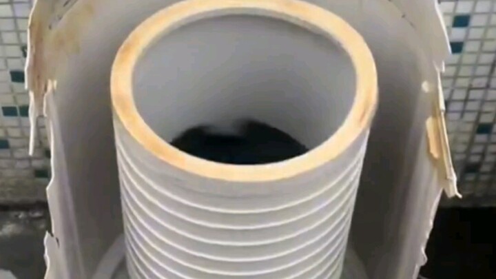 Menjahit dan memperbaiki lagi selama satu tahun