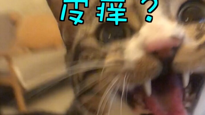 ที่ตักอึที่แย่ที่สุด