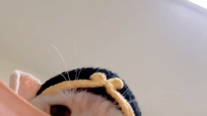 Bajie