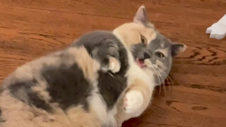 Si kecil menggemaskan!