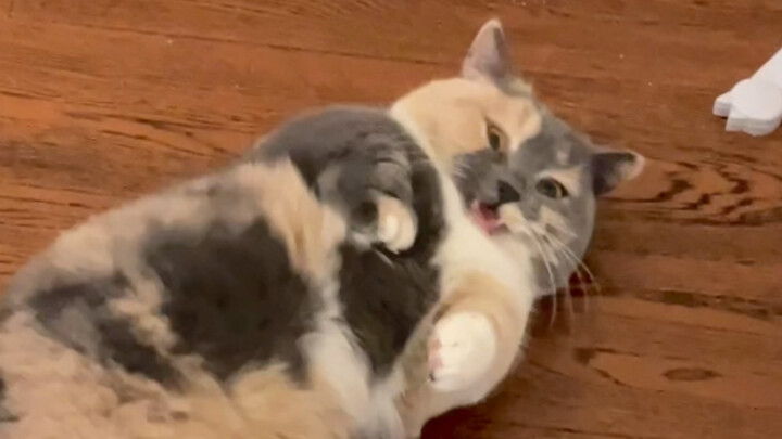 Si kecil menggemaskan!