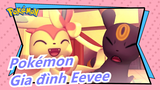 [Pokémon/3D] Gia đình Eevee, Cuộc đụng độ đầu tiên