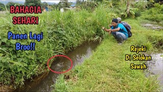 LUAR BIASA!! MANCING NILA DI SELOKAN SAWAH INI STRIKE TERUS BROO