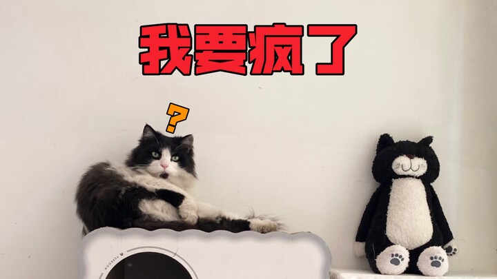 My heart almost stopped.