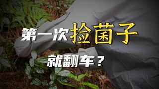 你在重庆也有家了！