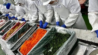 Another level! Korean food mass production process collection in Korean food factory / 한국 음식공장 대량생산