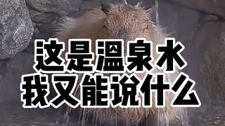 冰岛留学 但是为什么没有人告诉我冰岛热水滂臭啊！！！