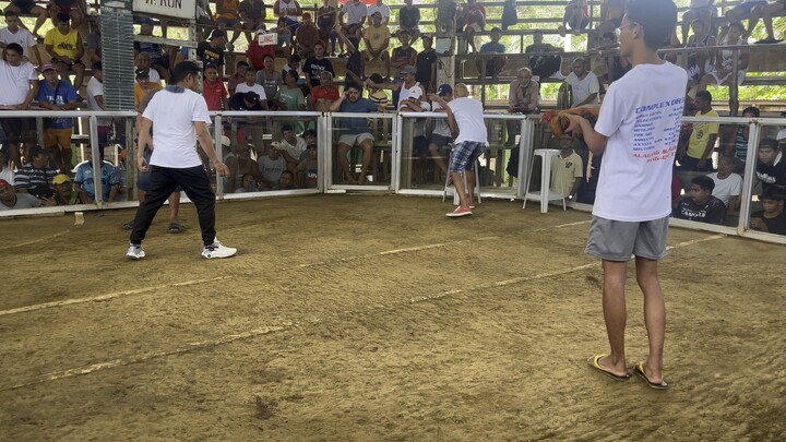 3 hits champion using sweater