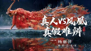 The Chinese Peacock Dance once again amazed the world. The unity of man and phoenix reborn from the 
