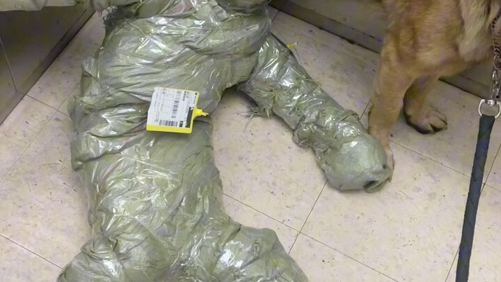 当我买了一袋狗粮，卖家告诉我这叫私密发货！？