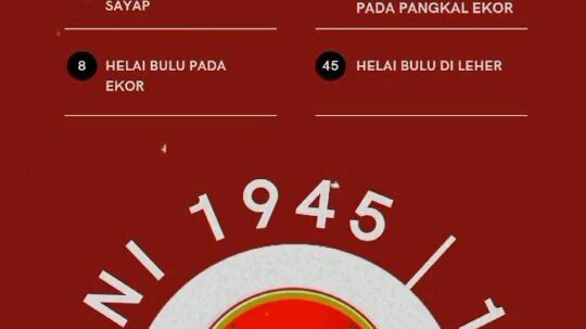 jadi WIBU boleh tapi jangan samapai lupa sama NKRI 🇮🇩