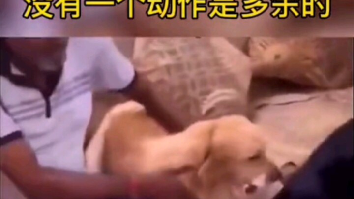 Dari awal hingga akhir, tidak ada sedikit pun yang berlebihan.