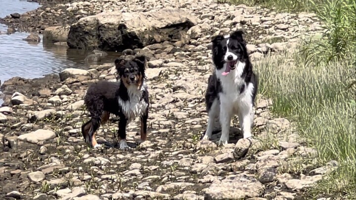 Taking Ximilu to the Water for the First Time