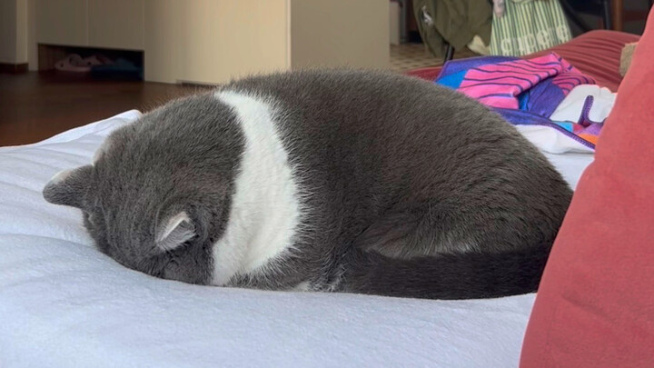 Cuối cùng thì mình cũng hiểu vì sao hồi nhỏ mẹ thích nhìn mình ngủ…