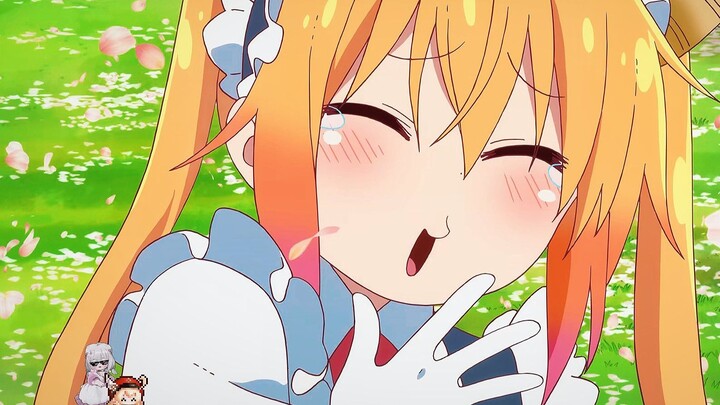 Flower viewing party, opening with abstract belly dance