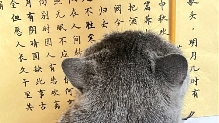 The Brits are being steeped in Chinese characters.