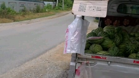 Guangxi people's watermelon freedom