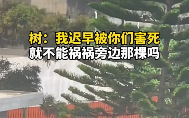 Dulu ada semut yang berusaha merobohkan pohon, kini ada kurir makanan yang mengguncang pohon. Netize