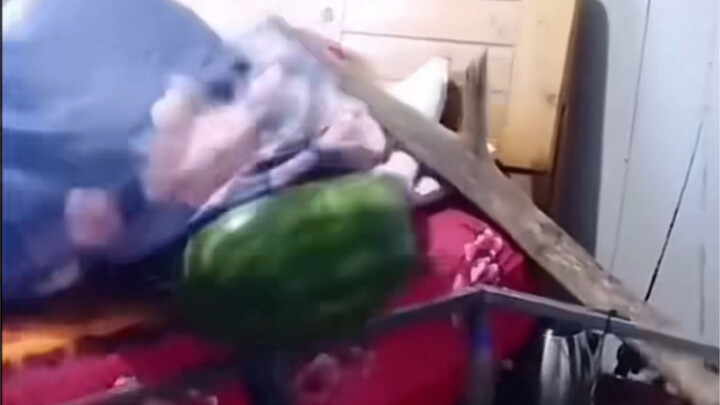 Đồ quái lạ tìm được trên Discord