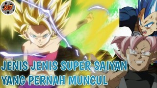 INILAH JENIS JENIS SUPER SAIYAN YANG PERNAH MUNCUL DI SELURUH SERI DRAGON BALL !!