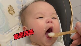 这就是传说中的嗷嗷待哺吗？