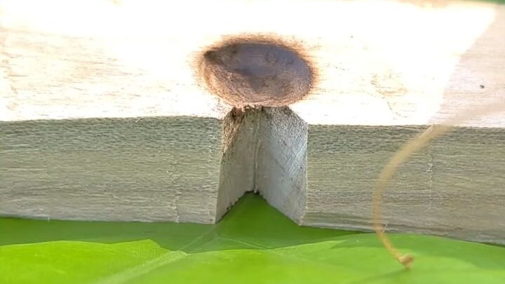 اليوم سأجرب إشعال النار في البرية باستخدام طريقة حفر الخشب لاستخراج النار!