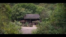 # 19-24 •ป่า🎋