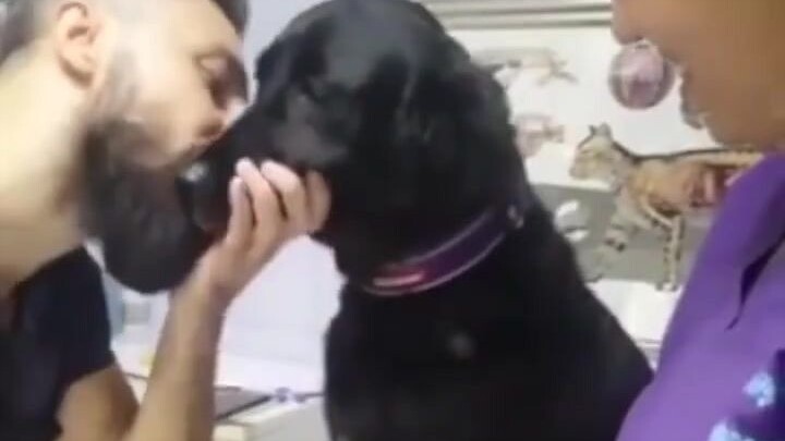 Those dogs that drive their owners crazy are just too adorable.