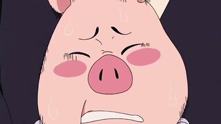 "Tsunade is indeed a perfect woman who is good at everything she does."
