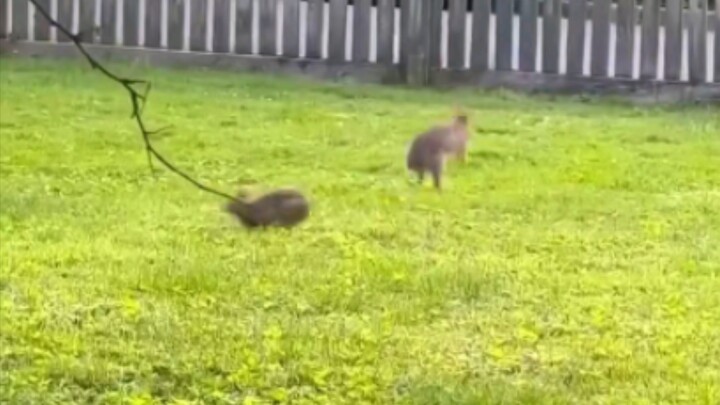 Sudahlah, kamu pasti tidak tertarik.