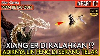 ADIKNYA LORD LIN FENG DI SERANG HABIS2 AN !! - Alur Cerita Donghua #WJDZ (PART 117)