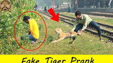 Crazy Fake Tiger Prank ในที่สาธารณะ ดูปฏิกิริยากับเล่นตลกเสือปลอมบ้า ใหม่ 2022