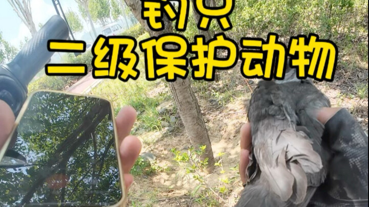 What Weird Fish Have Anglers Ever Caught?