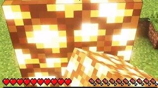 Minecraft: Saat Anda mengunduh terlalu banyak mod di Minecraft 16.0