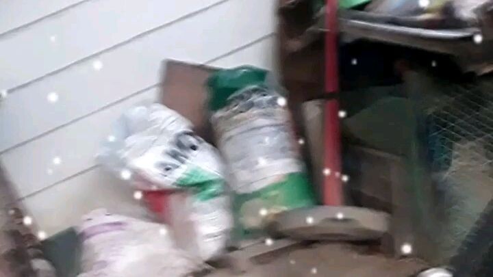 Ngayon lng to.. Cute