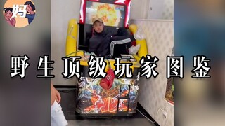 【野生人类图鉴】人生只为图一乐【妈见打】