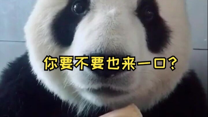 Khi nó dừng lại, tôi sợ quá, cứ nghĩ nó sẽ đột nhiên hỏi: “Bạn có muốn ăn không?”