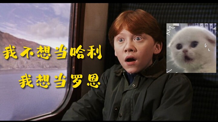 [Harry Potter Dubbed with “The Genius Basic Law” Voices] The Huamian‑style Ron is even cuter!!!
