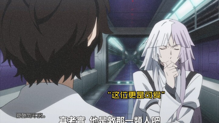 【文豪野犬第五季第8话】哈哈哈哈，两位宝宝与另一位可爱生物是这一集唯一能治愈我的了吧！