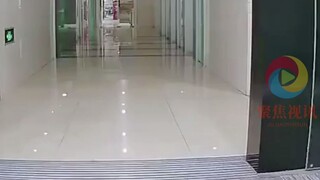 Keingintahuan membunuh kucing, pepatah lama itu benar!