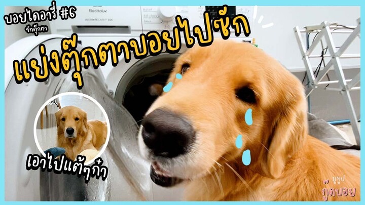 บอยถึงกับโมโห!! แย่งตุ๊กตาบอยไปซัก! 🧺🤬 || บอย ไดอารี่ Ep.6