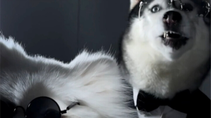 I heard you’ve been missing your little Boss Xiao Fan!