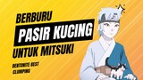 BERBURU PASIR KUCING UNTUK MITSUKI