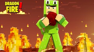 THE NEW FIRE DRAGON EGG! - Minecraft DragonFire