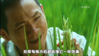禾下乘凉梦！