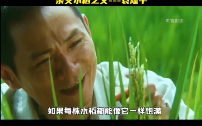 禾下乘凉梦！