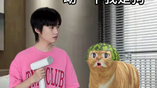 Science fiction films about cat owners
