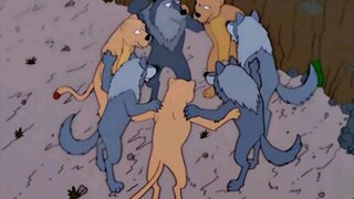 团结的力量