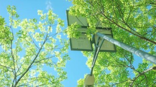 "The Baima Alley was full of flowers, and the young man was lost in that hot summer."