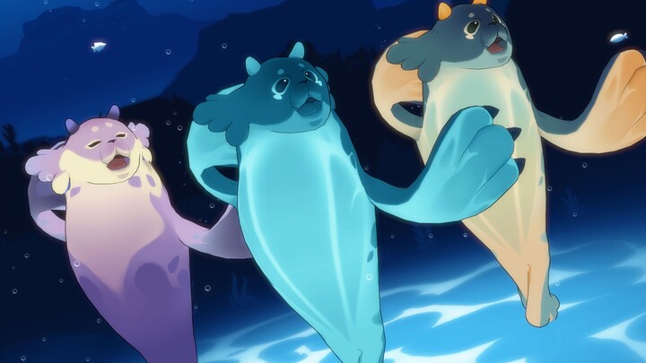 I got up and saw the seals jumping in the paradise